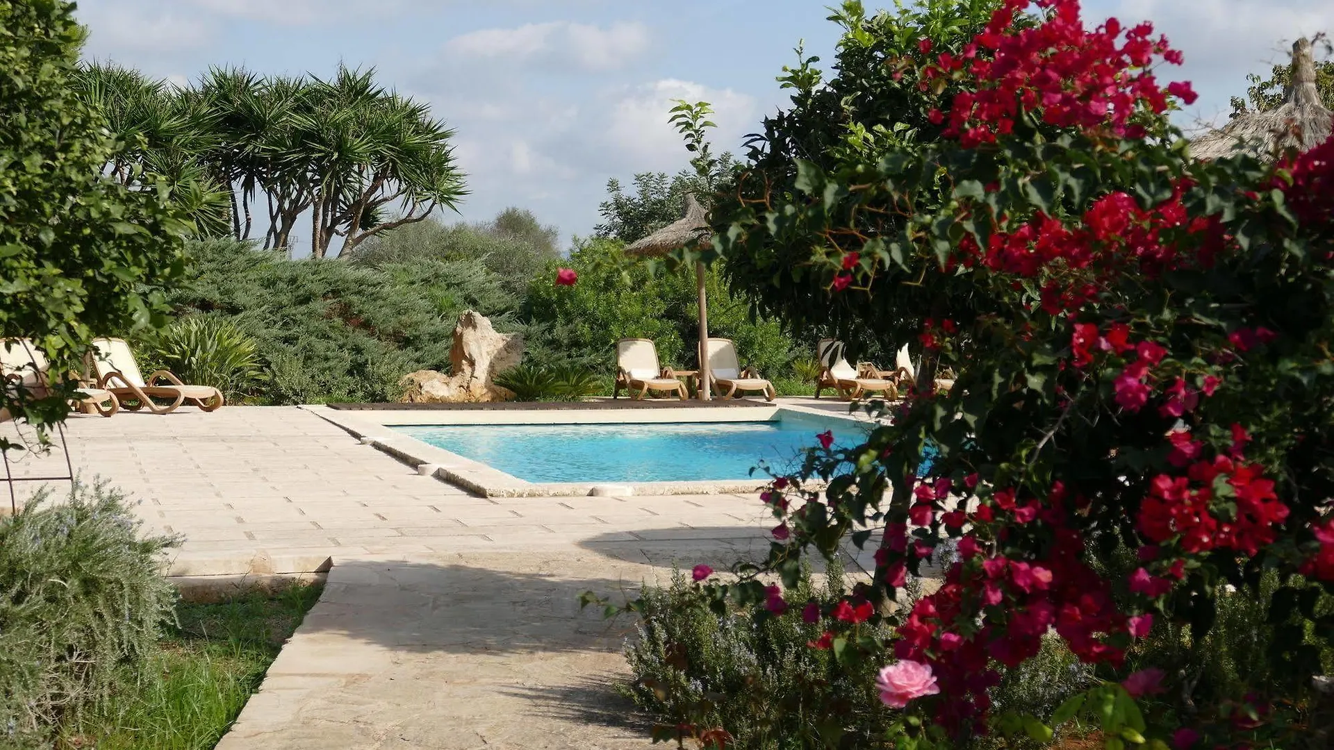 ***  Hotel Sa Carrotja - Adults Only Ses Salines  Spain