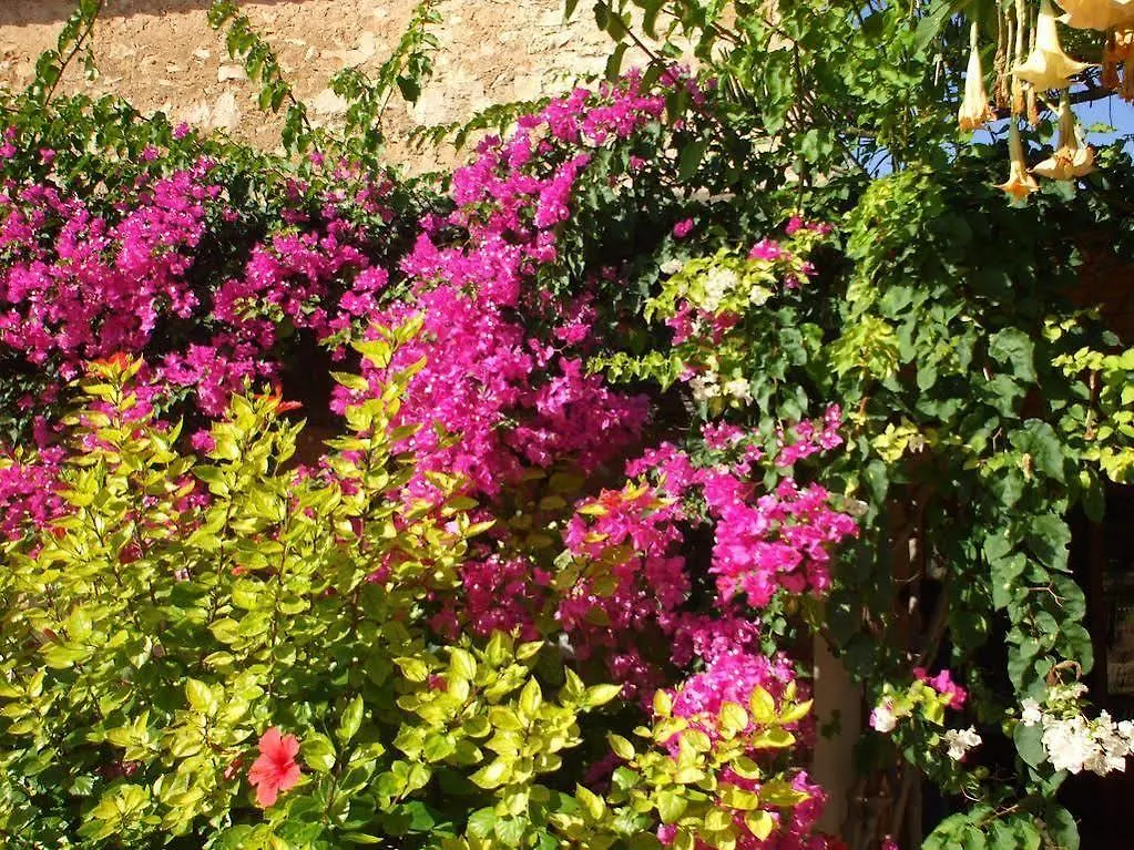 Hotel Sa Carrotja - Adults Only Ses Salines